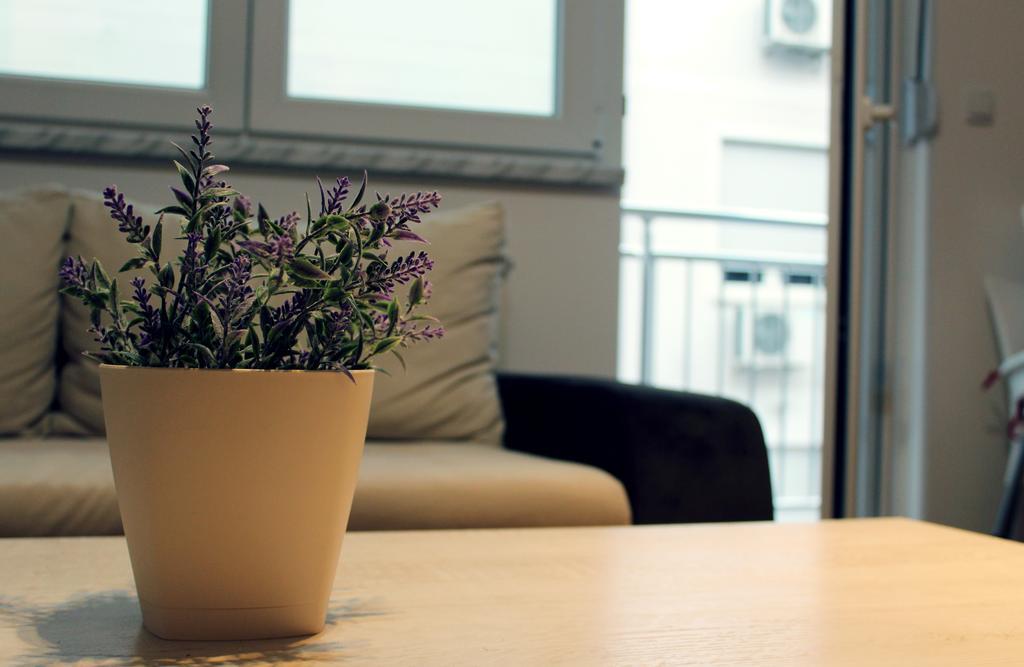 Apartment Leonis ベオグラード エクステリア 写真